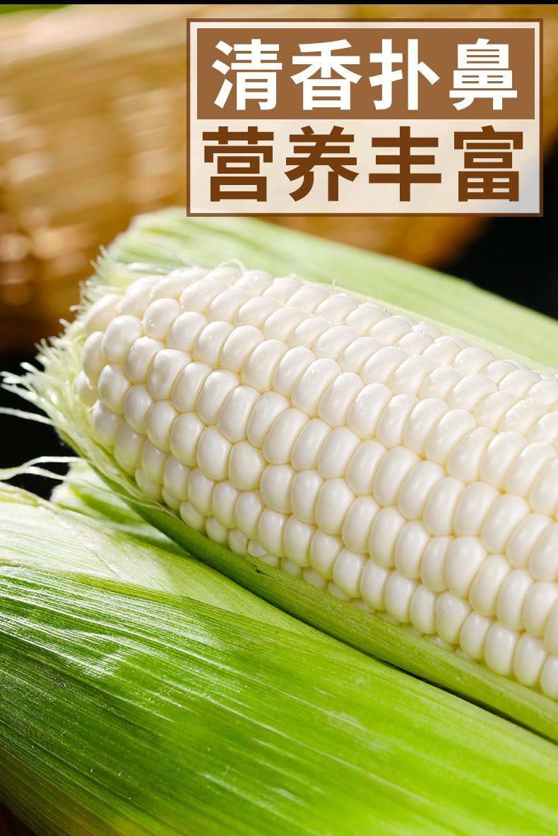 20240716_112346_057.jpg