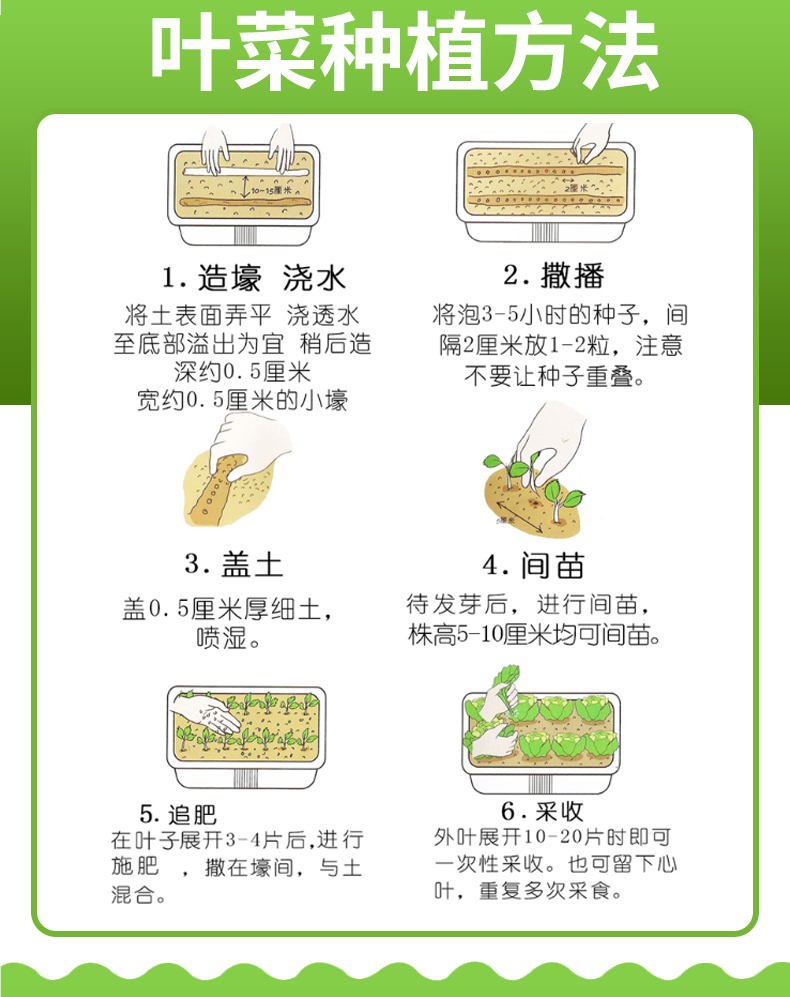 快菜种子详情图9.jpg